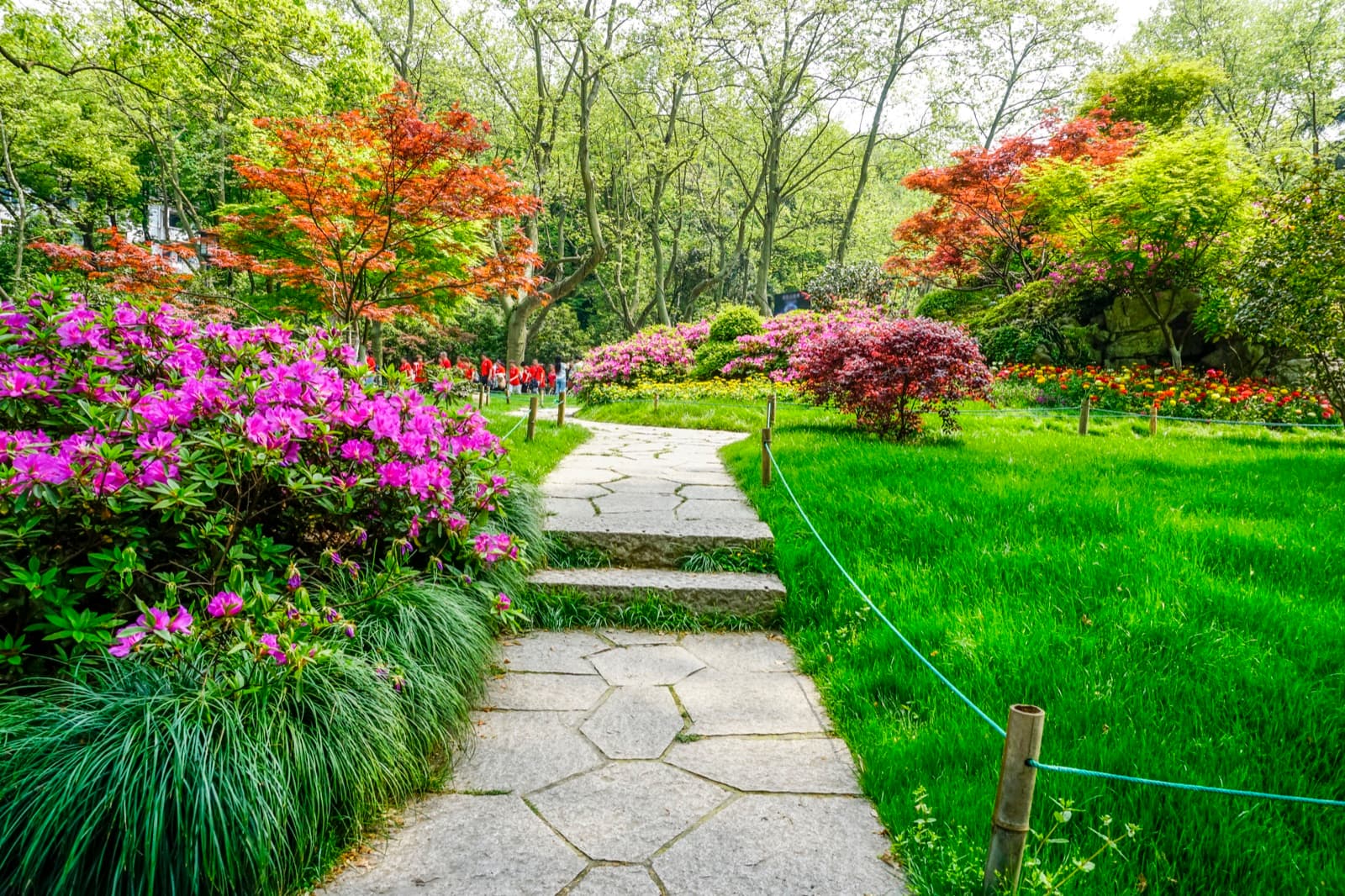 Beautifully landscaped green park — an example of design and install work